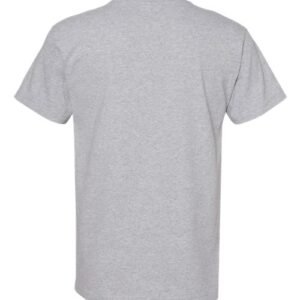 american apparel 1301