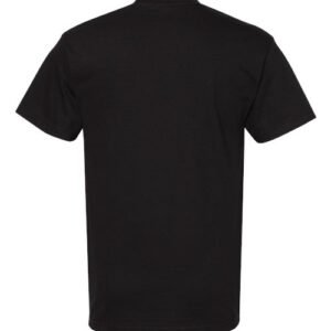 american apparel 1301