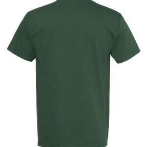 american apparel 1301