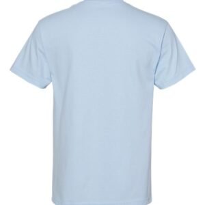 american apparel 1301