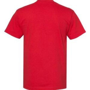 american apparel 1301