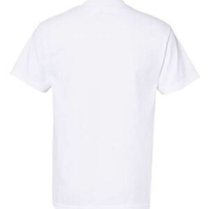 american apparel 1301