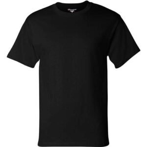champion t425 unisex classic t shirt