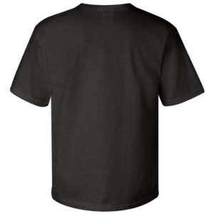 champion t105 unisex heritage jersey t shirt