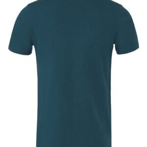 bella + canvas 3001 jersey tee