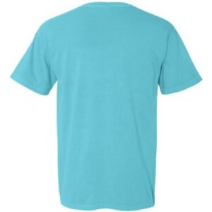 comfort colors 1717 unisex garment dyed heavyweight t shirt