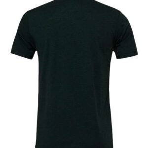 bella + canvas 3413 triblend tee