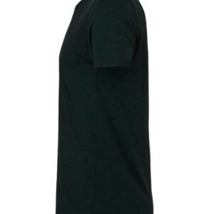 bella + canvas 3413 triblend tee