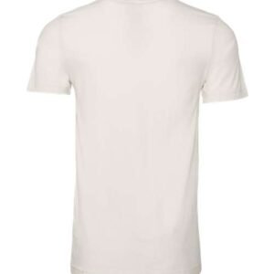 bella + canvas 3001 jersey tee
