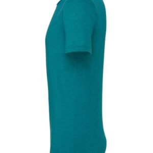 bella + canvas 3413 triblend tee