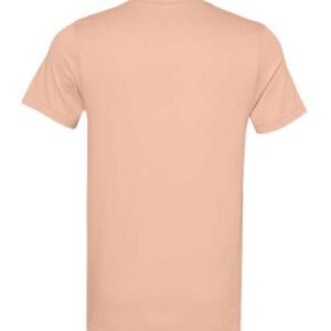 bella + canvas 3001 jersey tee