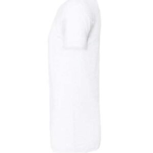 bella + canvas 3413 triblend tee