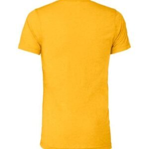 bella + canvas 3413 triblend tee