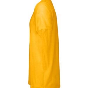 bella + canvas 3413 triblend tee