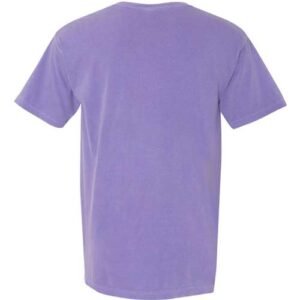 comfort colors 1717 unisex garment dyed heavyweight t shirt