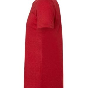 bella + canvas 3413 triblend tee