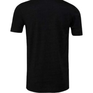 bella + canvas 3413 triblend tee