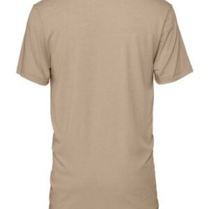 bella + canvas 3413 triblend tee