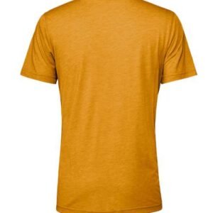 bella + canvas 3413 triblend tee