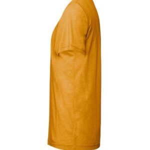 bella + canvas 3413 triblend tee