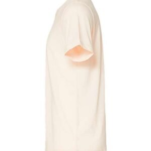 bella + canvas 3413 triblend tee