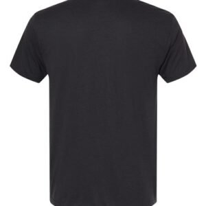 next level 6010 unisex triblend t shirt